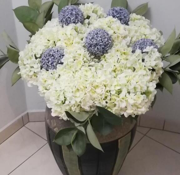 هتل Europa   Family And Senior Friendly