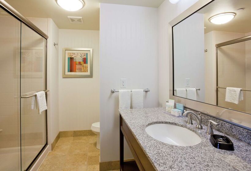 ホテル Hampton Inn & Suites Minneapolis West/ Minnetonka