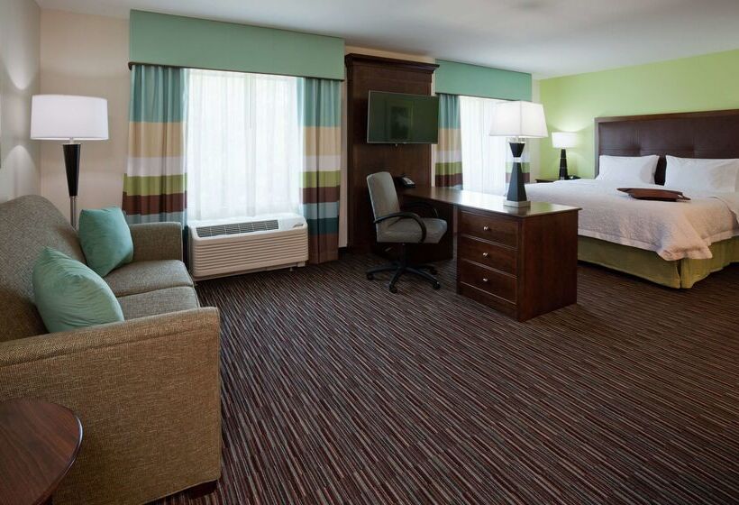 ホテル Hampton Inn & Suites Minneapolis West/ Minnetonka