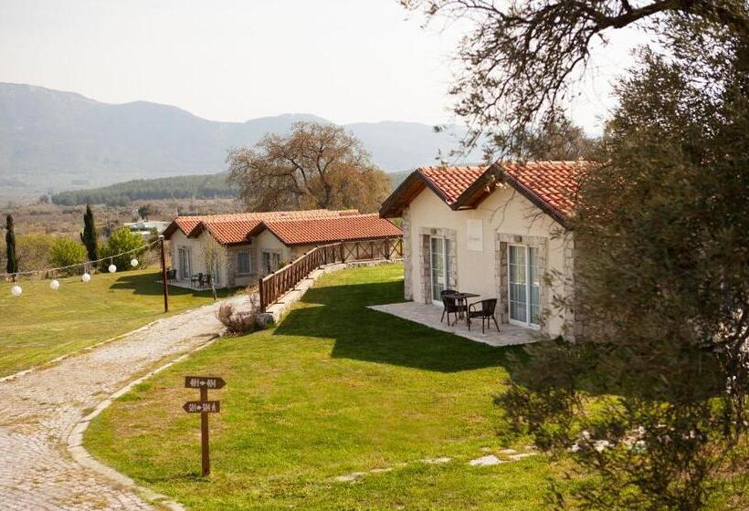 هتل Vinifera Vineyards