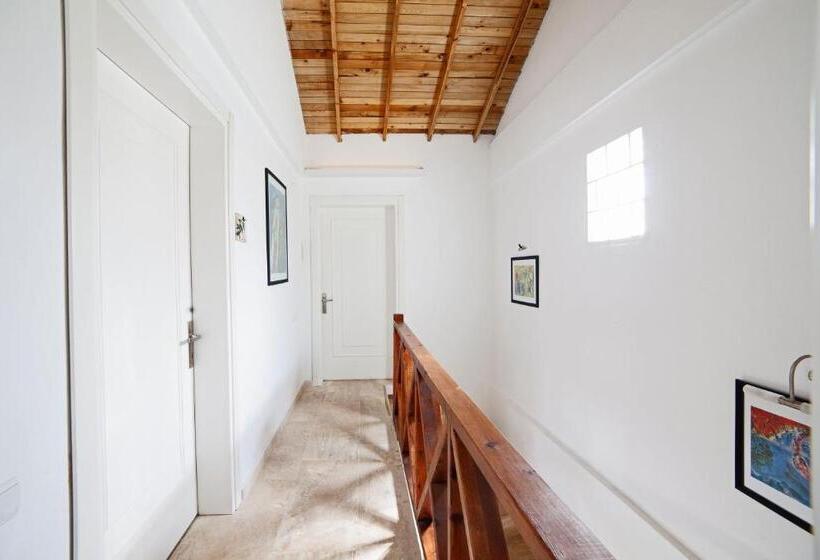 هتل Vinifera Vineyards