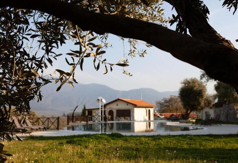 هتل Vinifera Vineyards