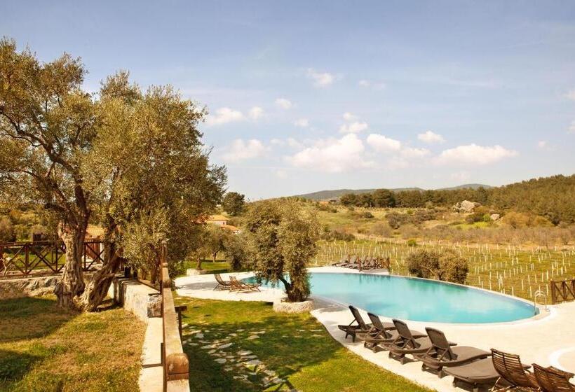 هتل Vinifera Vineyards