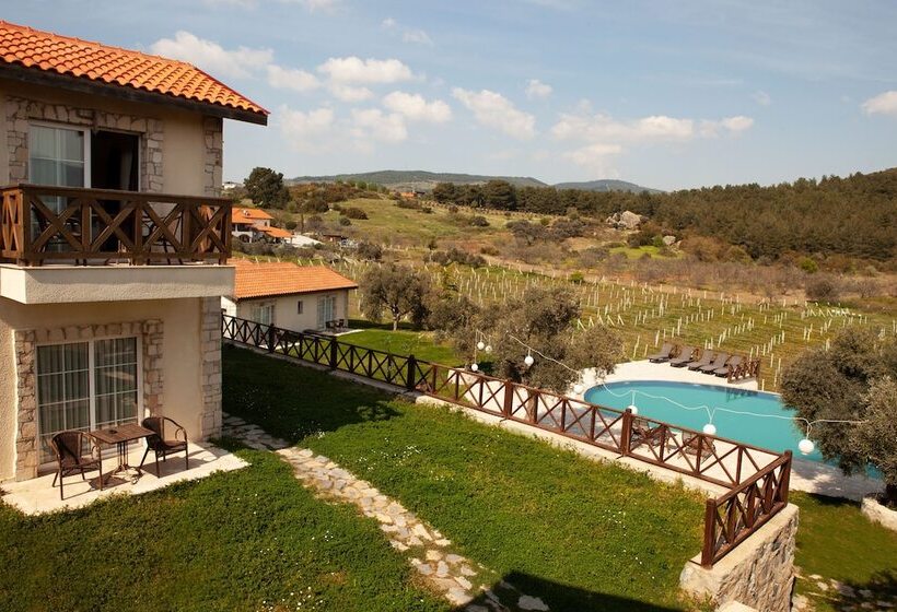 هتل Vinifera Vineyards