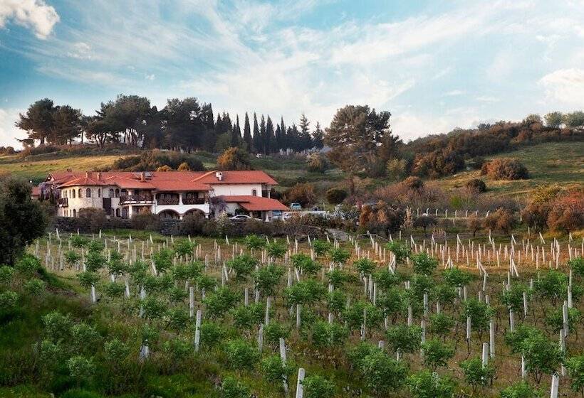 هتل Vinifera Vineyards