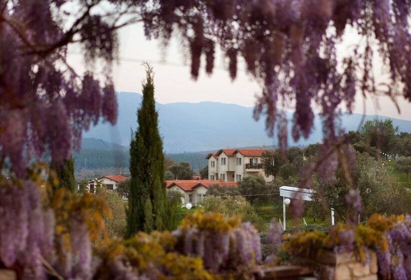 هتل Vinifera Vineyards