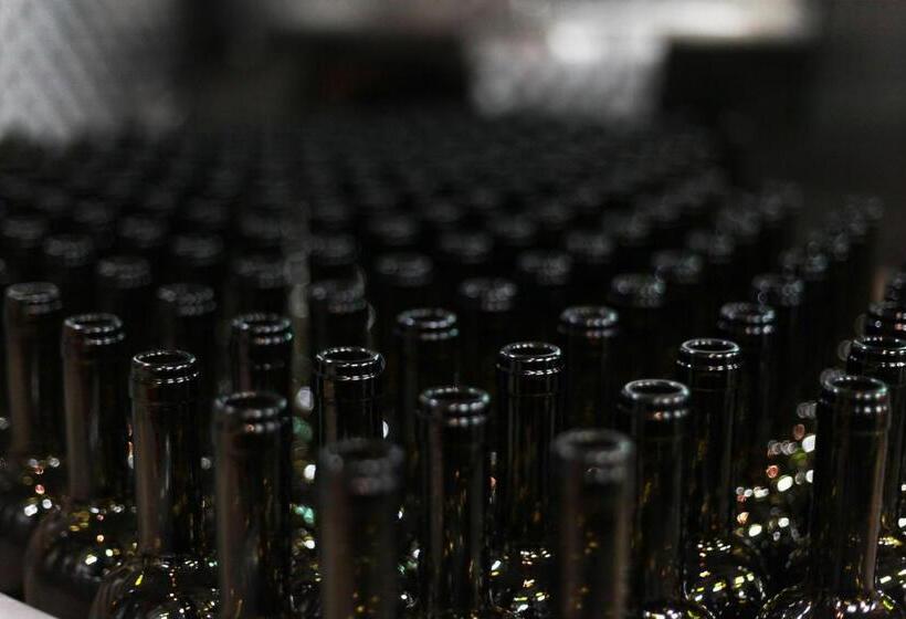 هتل Vinifera Vineyards