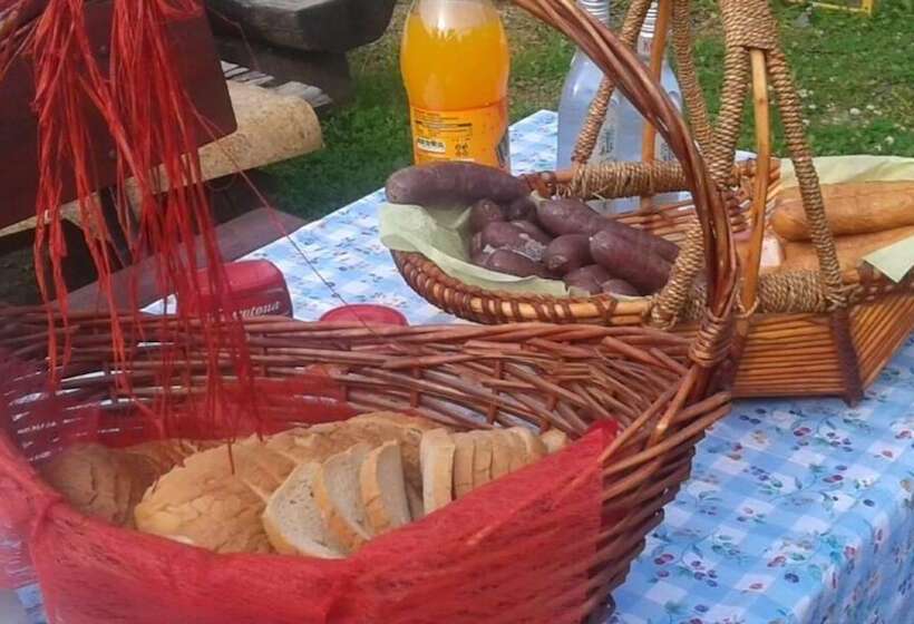 هتل Zającówka   Idealna Lokalizacja   Leśna Enklawa W Centrum Miasta! Sauna, Masaże, Zabiegi Spa!