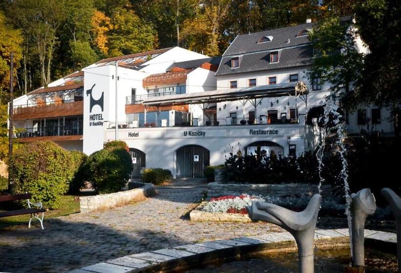 پانسیون U Kozicky