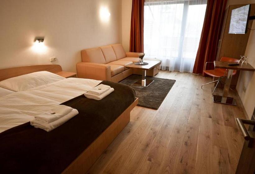 پانسیون U Kozicky