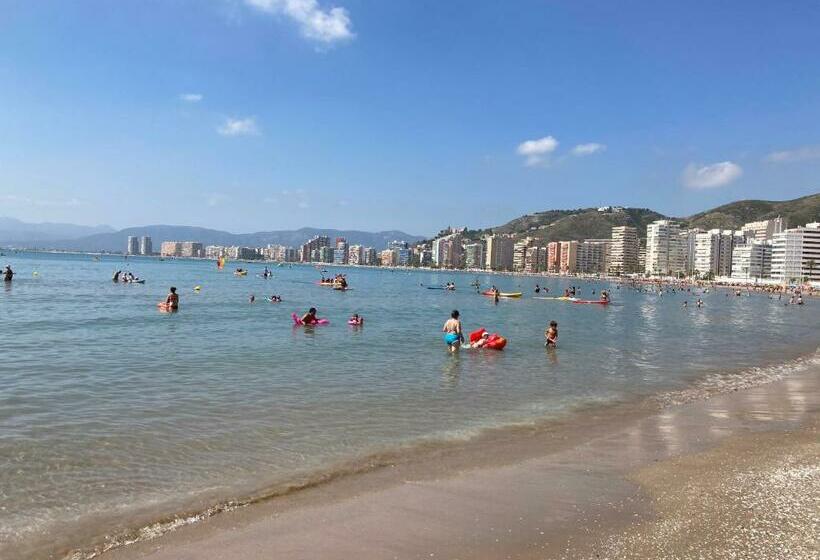 Florazar 2 Cullera
