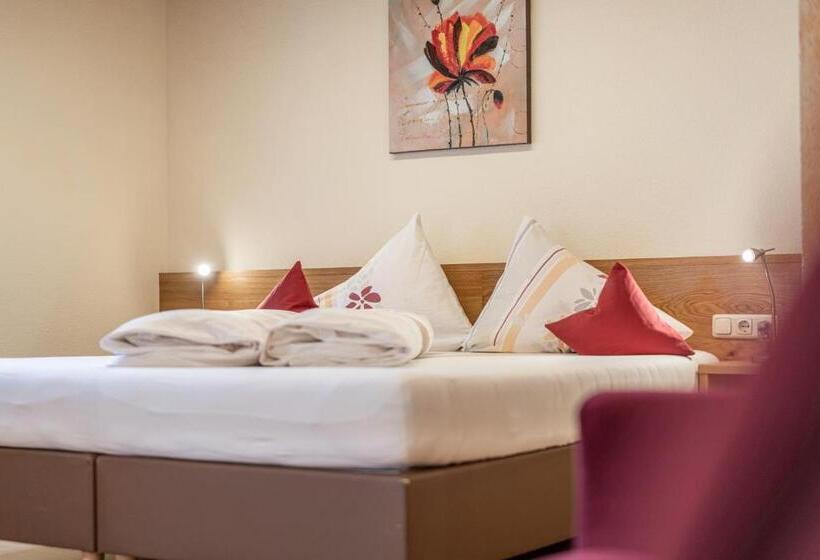 پانسیون Appartementhaus Im Winkel