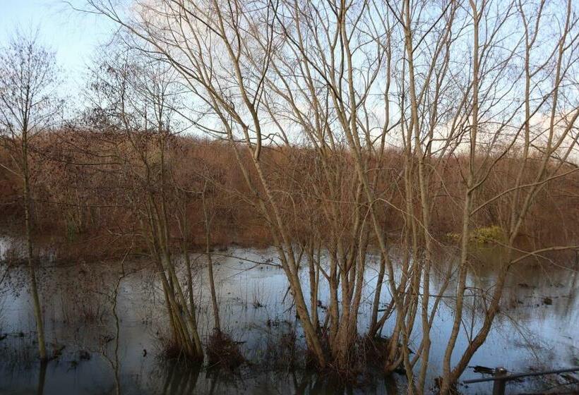 Cabaña Habitainer Borderio 3