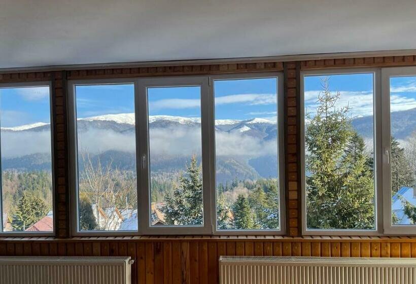 Bsg Villa Sinaia