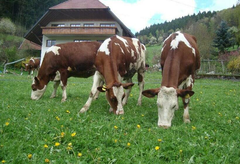 Geigerbauernhof