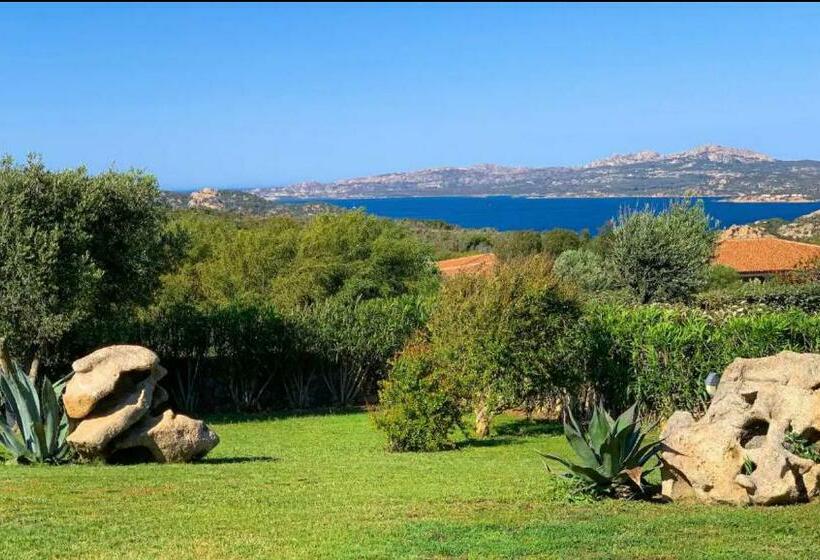 Villa Minerva Palau