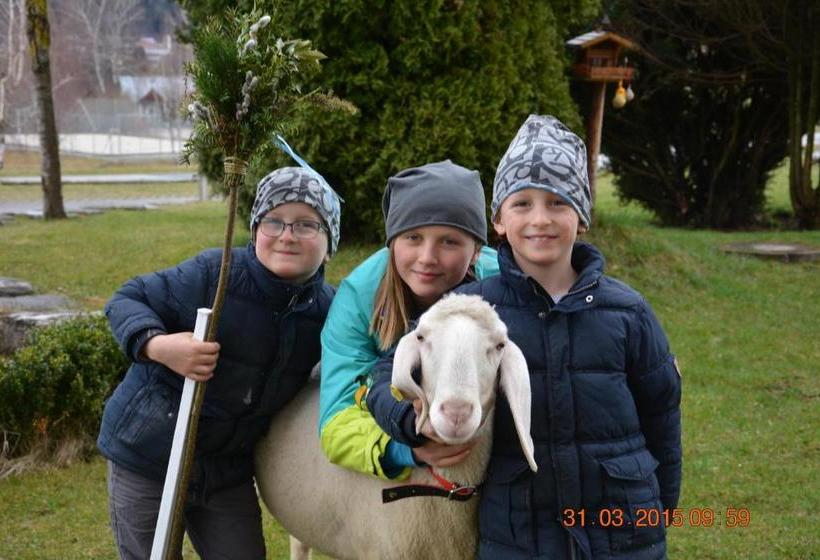 בית מלון כפרי Apart Pension Wesenauerhof