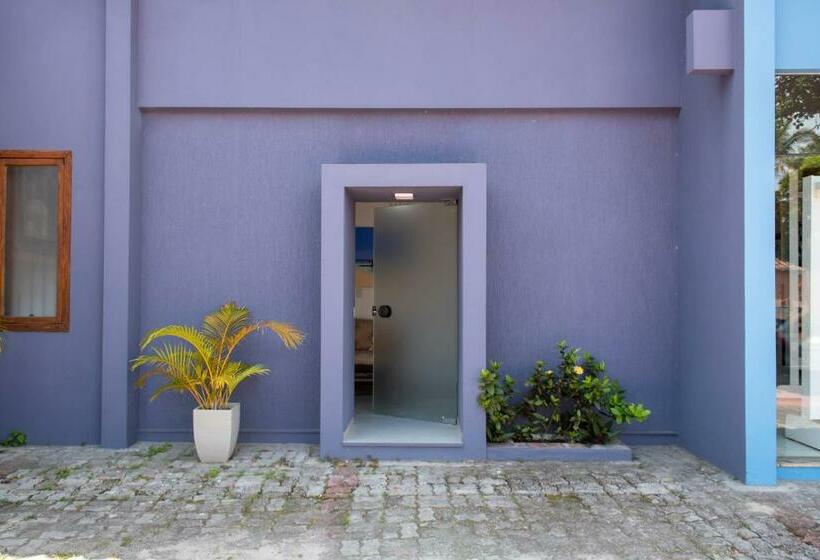 Art House