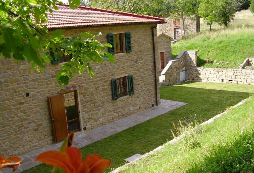 Il Bosco In Cielo Il Tasso