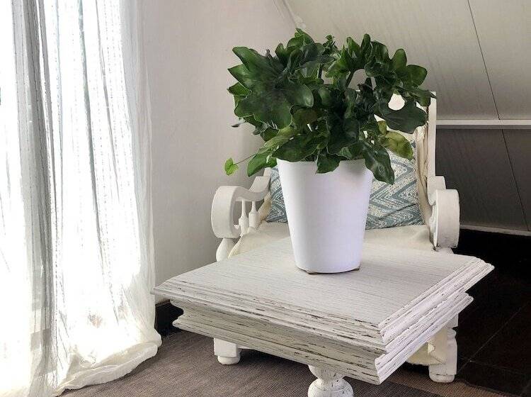 Captivating Studio Apartment In Mexilhoeira Grande