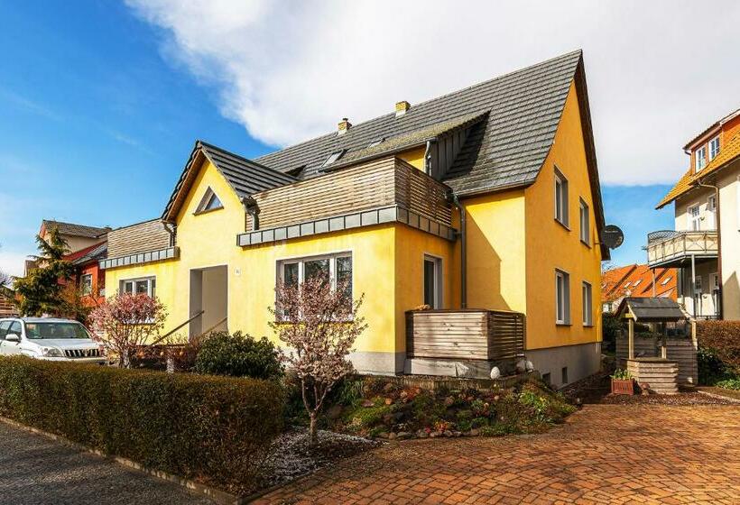 Kietz Koje