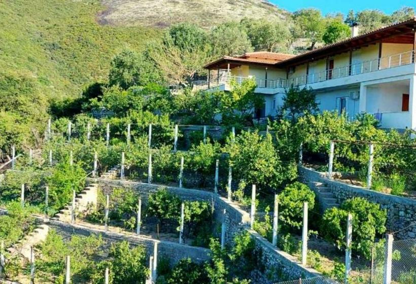 Philoxenia Guest House