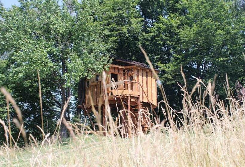 Treehouse Toplak