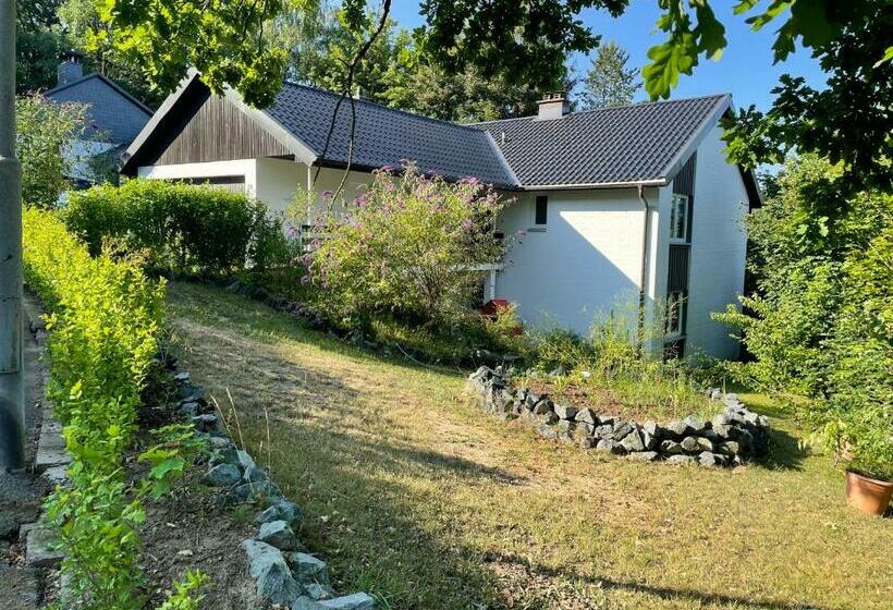 Ferienwohnung Harzblick
