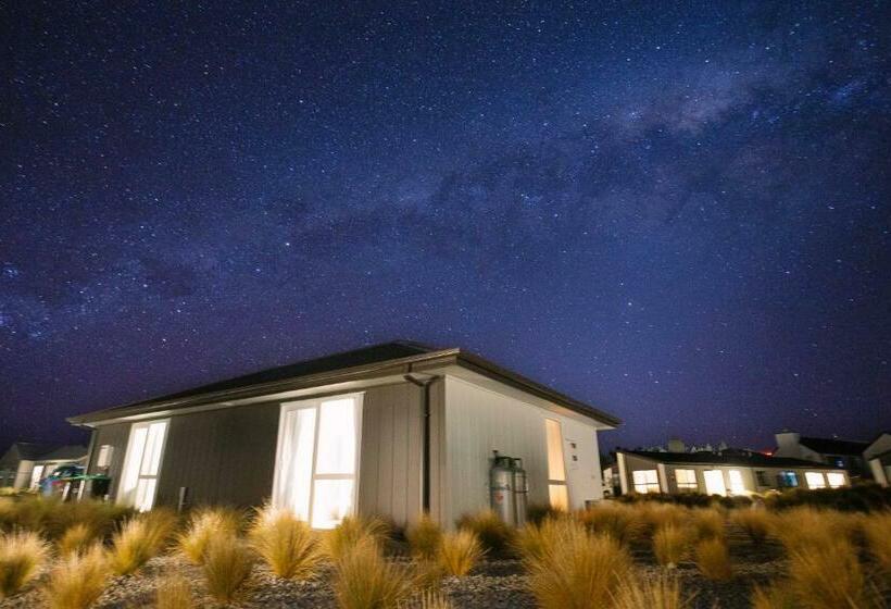 Lupin Faves Tekapo