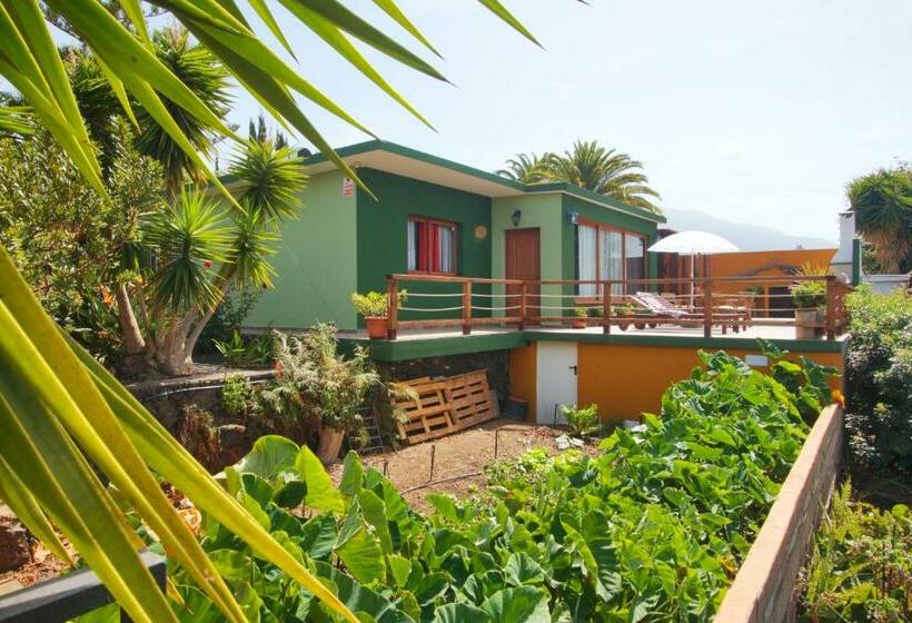 Casa Lagarto