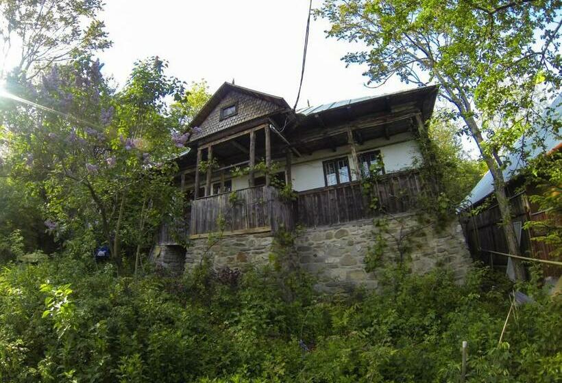 Casa Zmeura