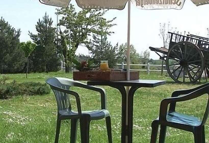 호텔 Logis Hôtel Restaurant Le Vieux Fusil