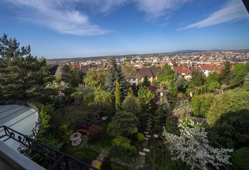 ホテル Panorama Panzio