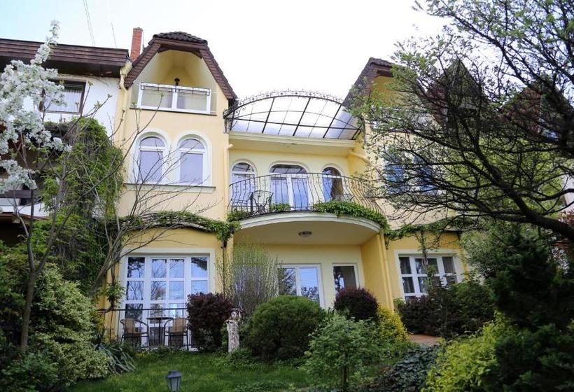 Отель Panorama Panzio