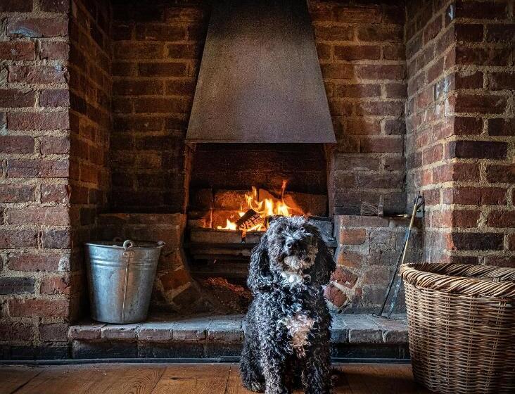 הוסטל The Cricketers Clavering