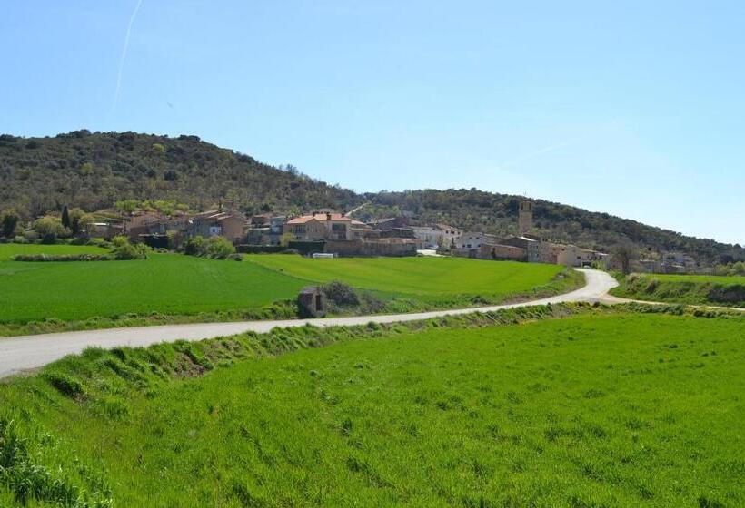 Cal Ribero