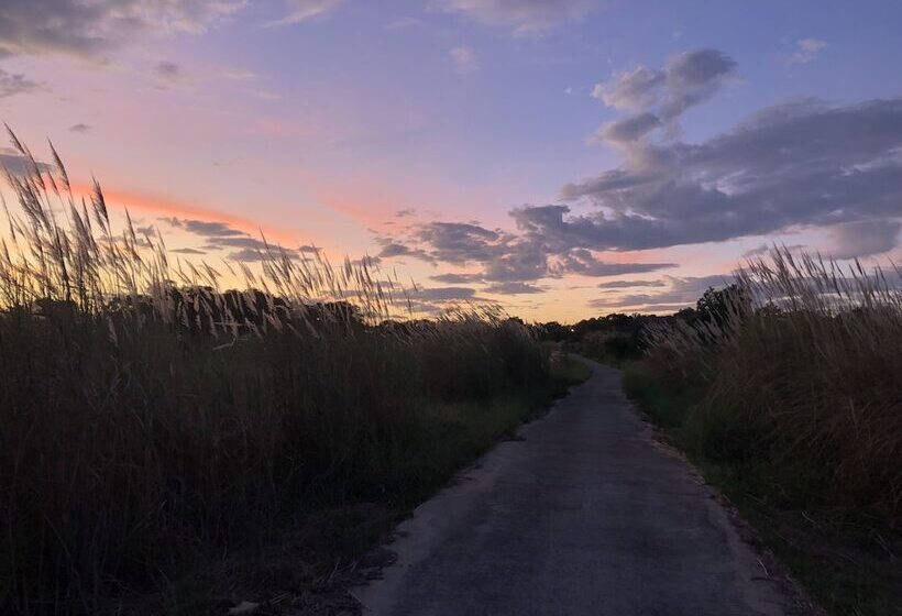 هتل Live Guesthouse