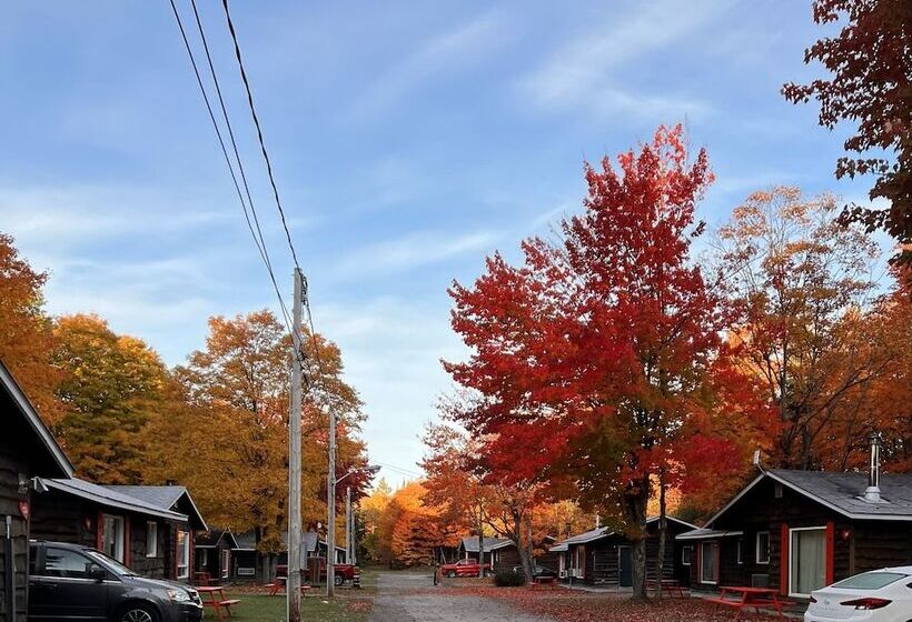 Glenview Cottages