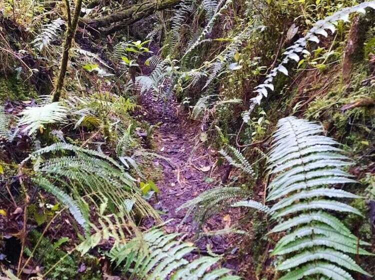 فندق Balcon Al Cotopaxi Hosteria