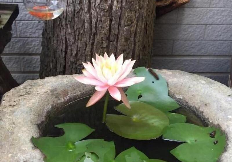 هتل Pu Jhen Homestay