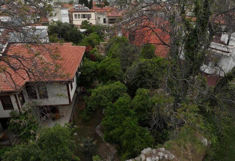 هتل Zemira Garden