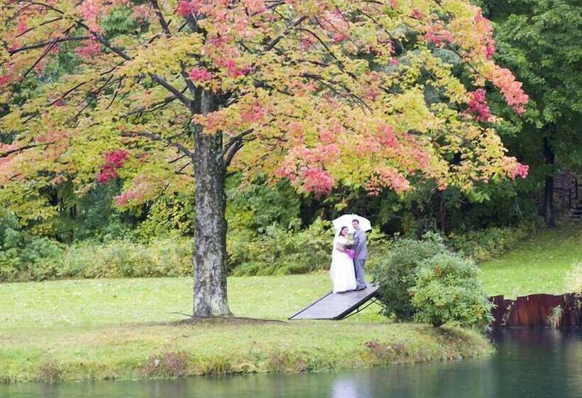 בית מלון כפרי Allegan Country Inn