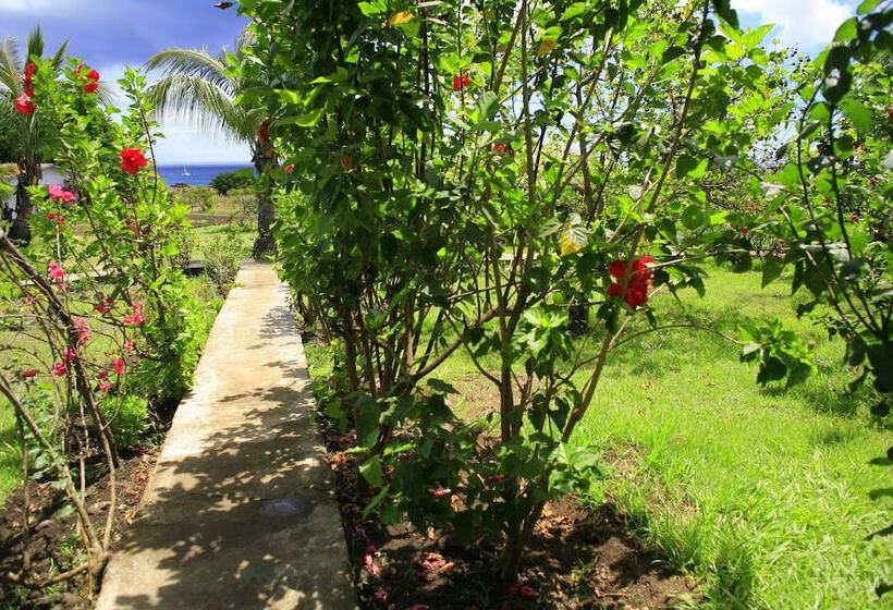 فندق Cabañas Mana Nui Inn