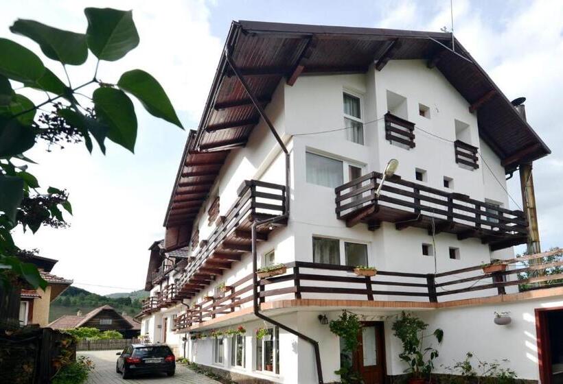 בית מלון כפרי Pensiunea Maria