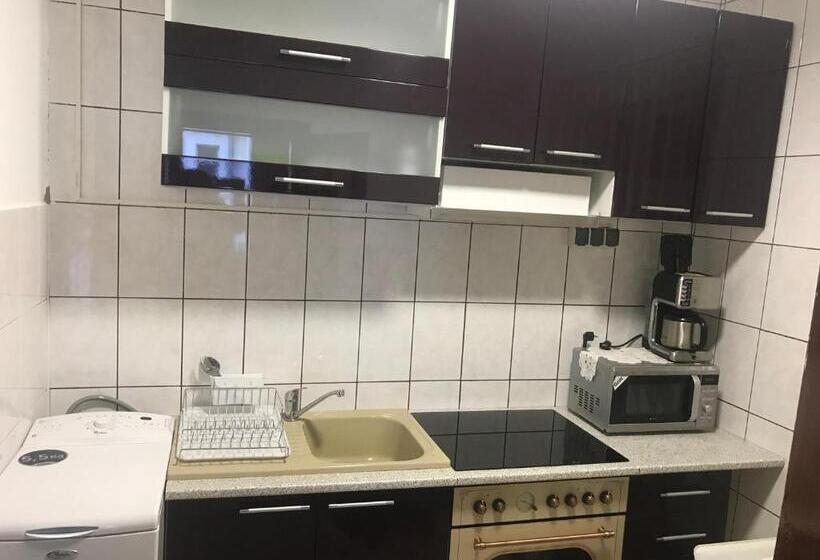 בית מלון כפרי Pensiunea Maria