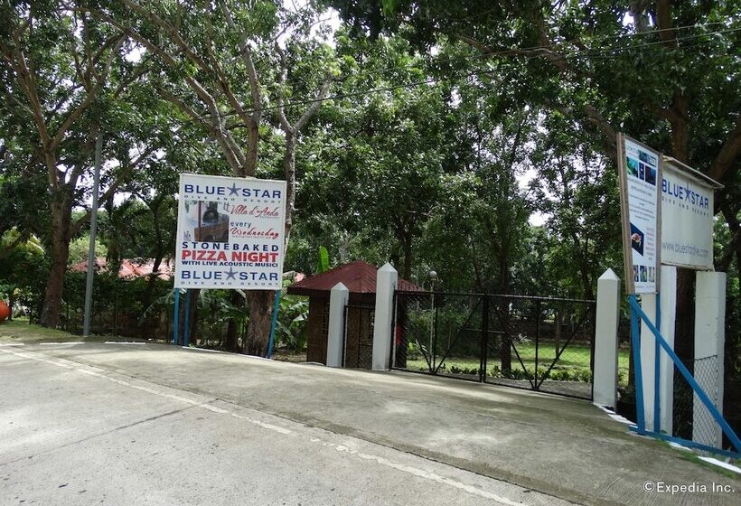 Hotel Blue Star Dive & Resort