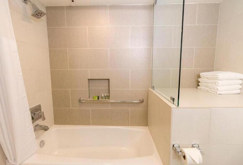 Отель Carlsbad Seapointe Resort