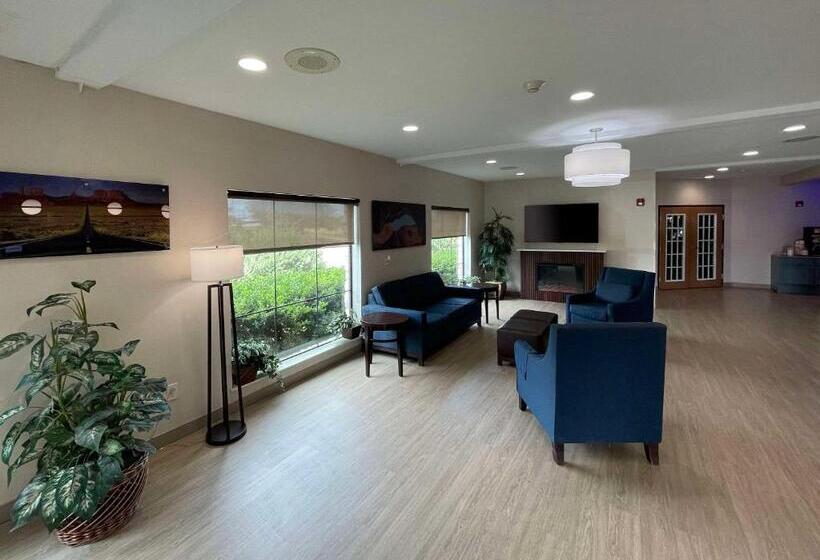 ホテル Comfort Suites Near Seaworld