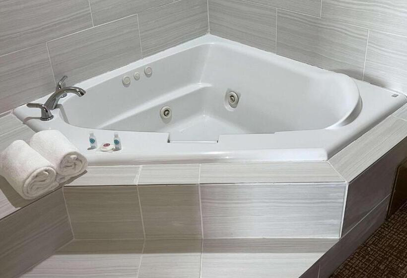 ホテル Comfort Suites Near Seaworld