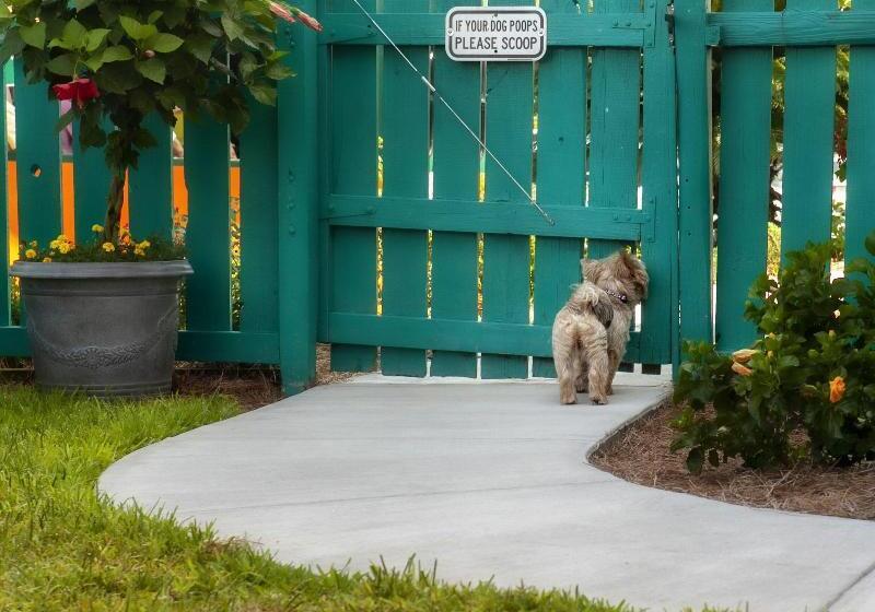 هتل The Thunderbird Inn